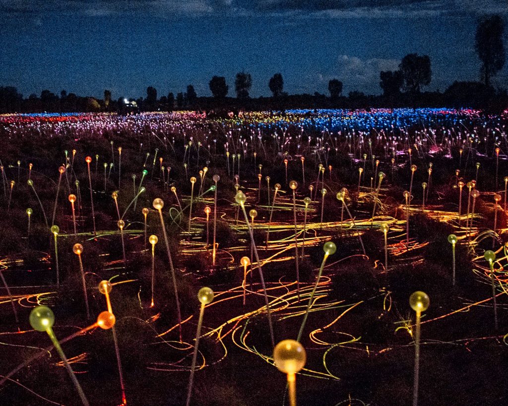 Field of light at night after our sunset dinner