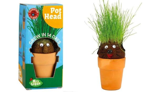 A potted plant with a face