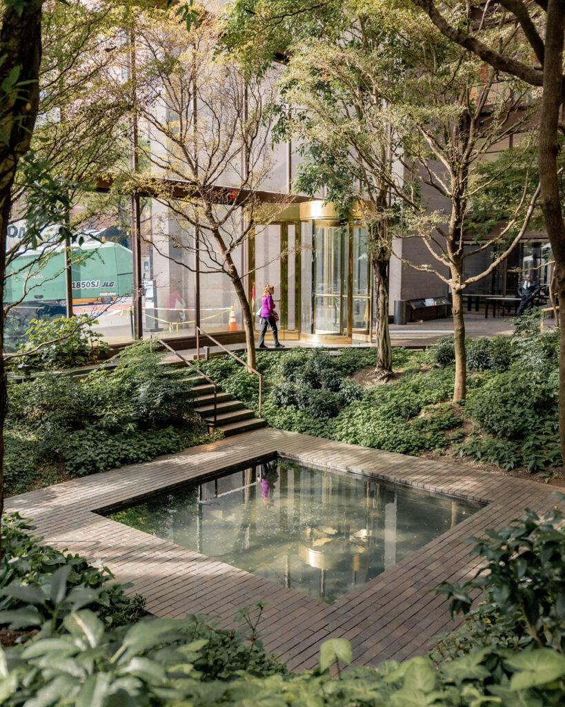 A light filled lobby with trees and shrubs with a small reflection pool